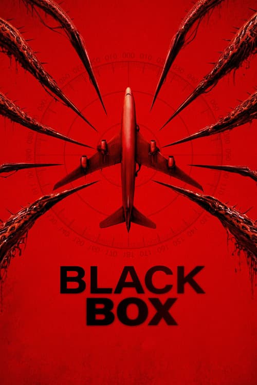 Black Box (Flight 298)